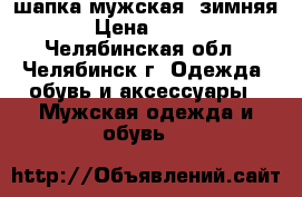 шапка мужская  зимняя › Цена ­ 150 - Челябинская обл., Челябинск г. Одежда, обувь и аксессуары » Мужская одежда и обувь   